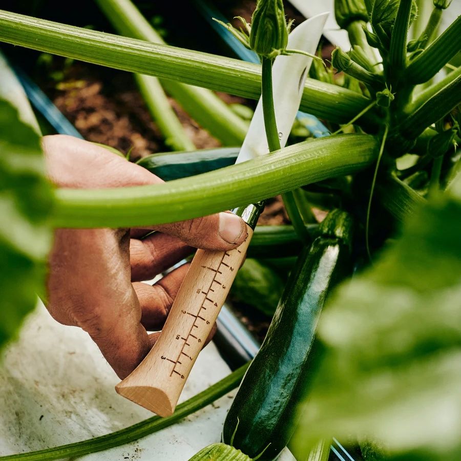 Growers&co høstekniv